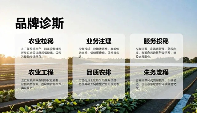 品牌诊断报告如何帮助提升产品策划效果?
